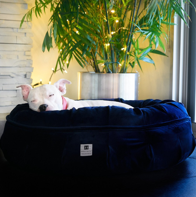 Comfort Dog Bed