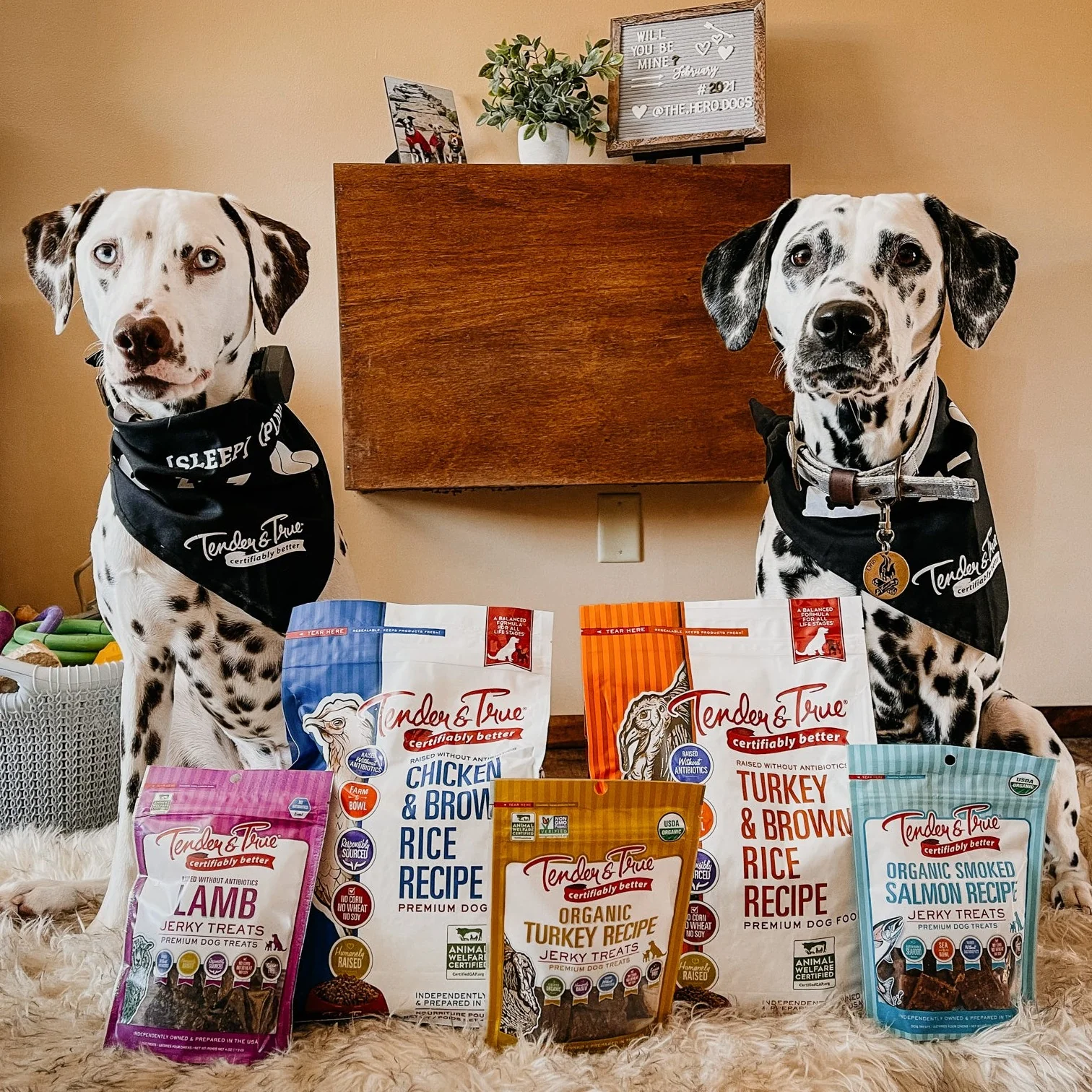 Premium Dog Food